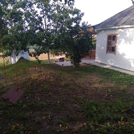 Соколине Гніздо Villa Dmitrenki Exterior photo