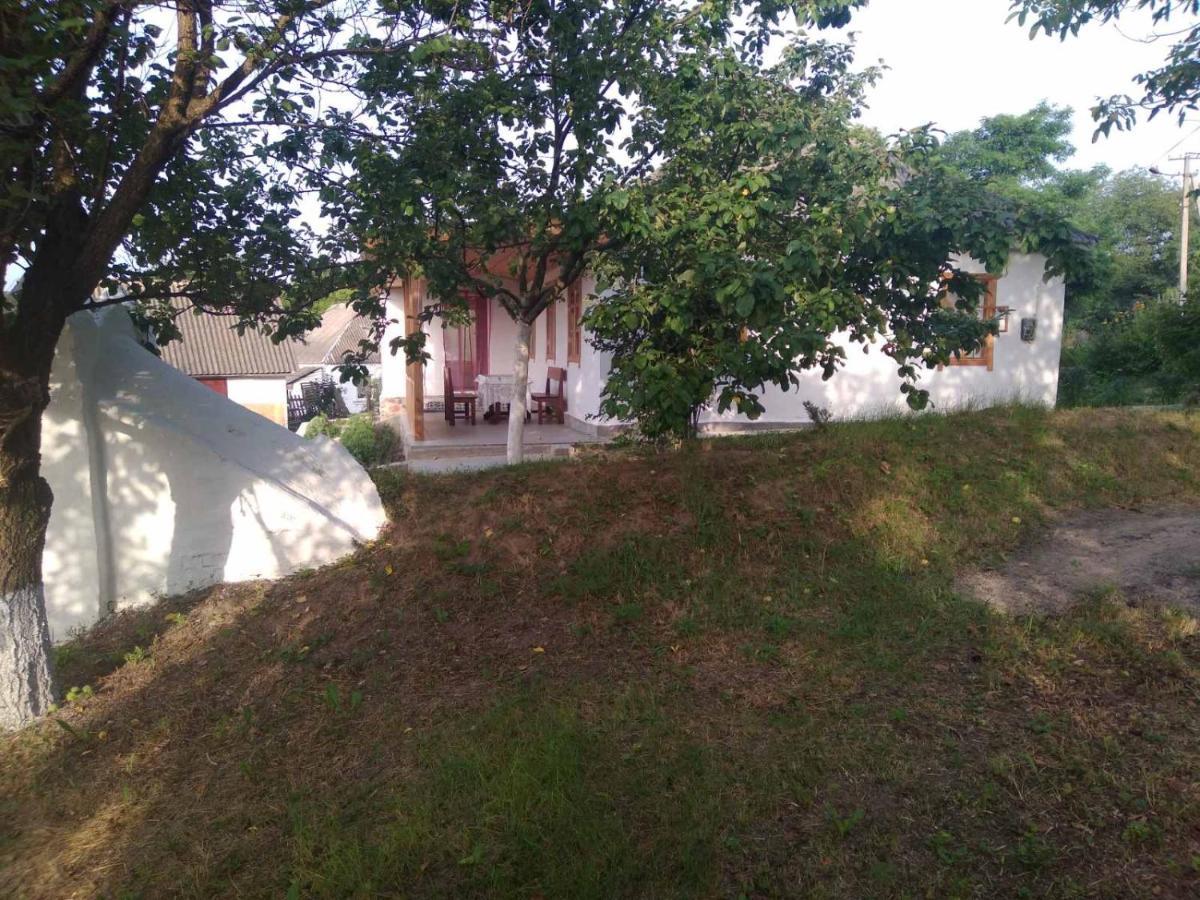 Соколине Гніздо Villa Dmitrenki Exterior photo